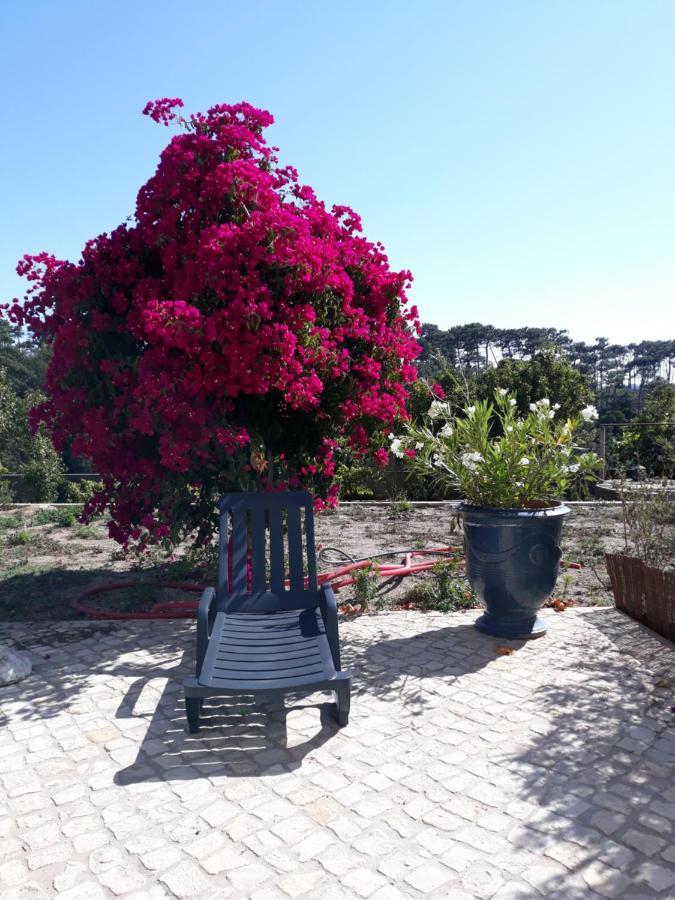 Plage Et Foret Pobral Buitenkant foto