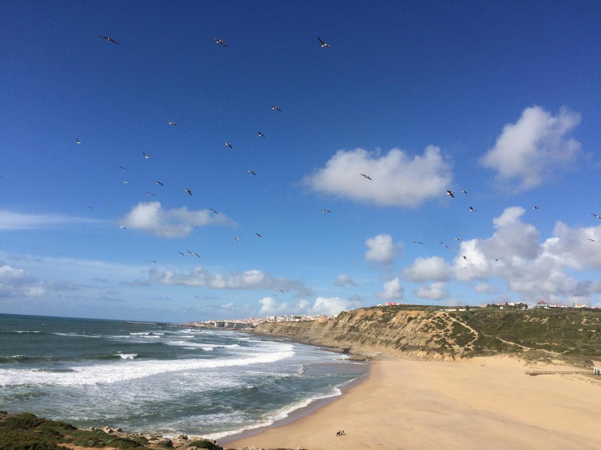 Plage Et Foret Pobral Buitenkant foto